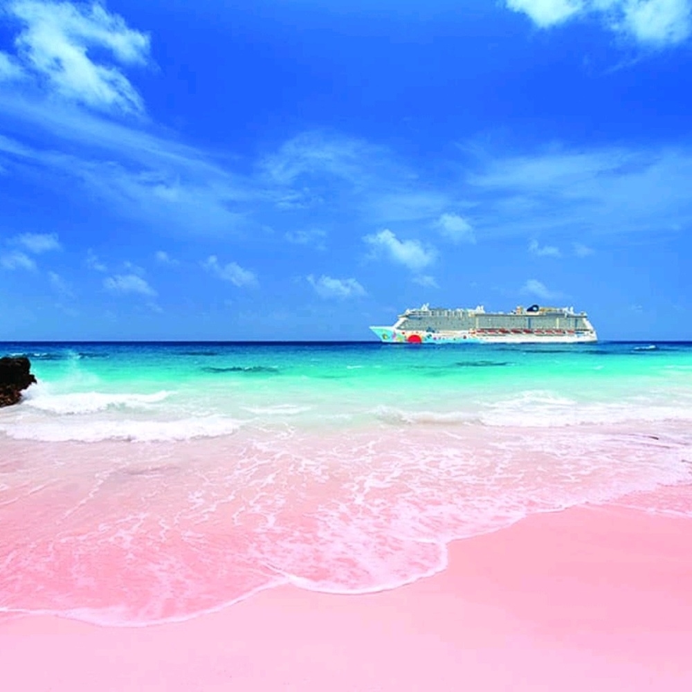 Meet your Posher, Olesia